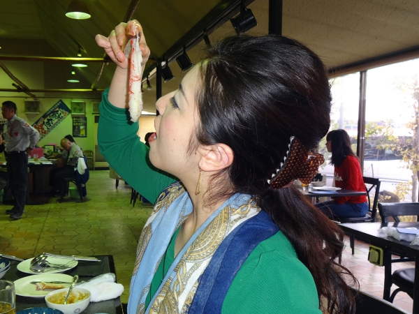 DSC00149.JPG